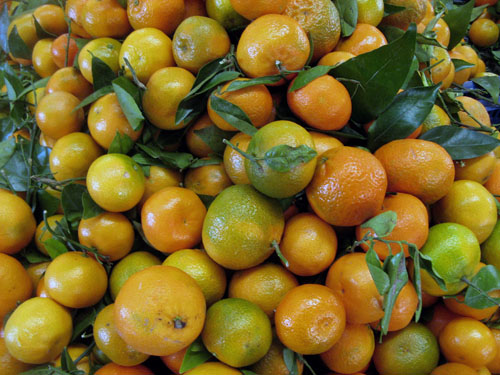citrus_reticulata.jpg
