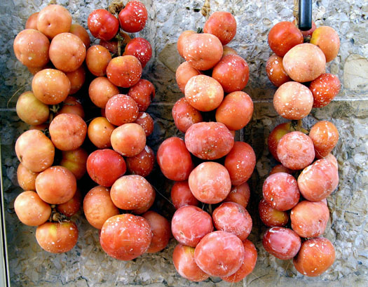 tomatigues_de_ramallet