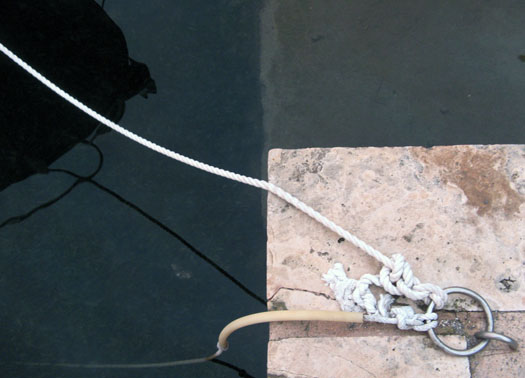 knots