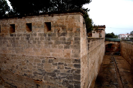 torre_den_pau