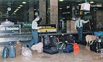 Servicio_Cinológico