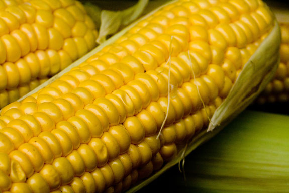 corn