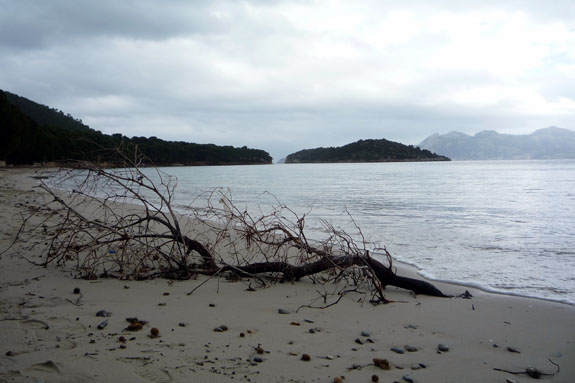 formentor_conversaciones