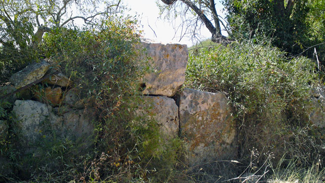 Es Velar de Son Herevet