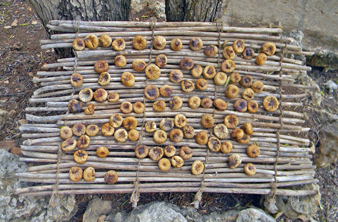 dried figs