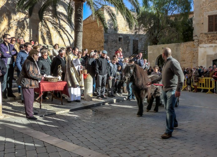Sant Antoni animal blessings Santanyi