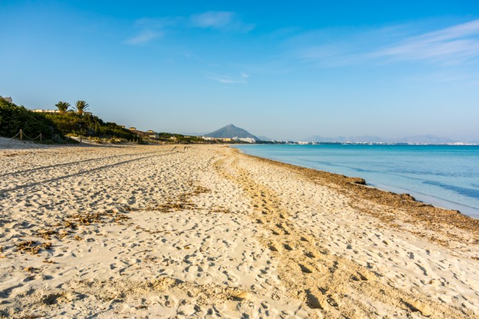 Badhia de Alcúdia Mallorca